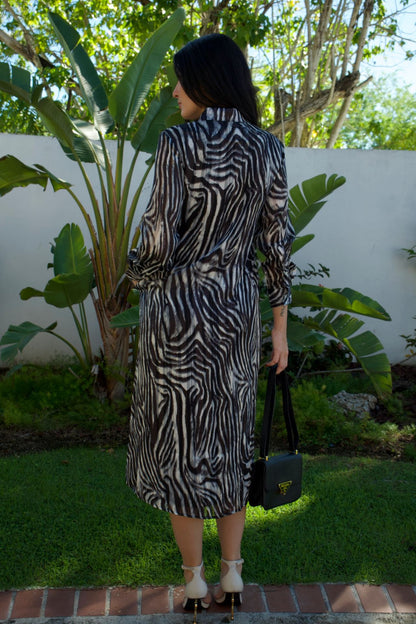Zebra print satin long-sleeve maxi dress with gold accents — runs large, Elegance Boutique